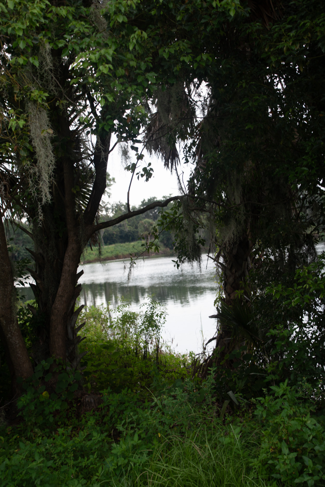 Florida Park